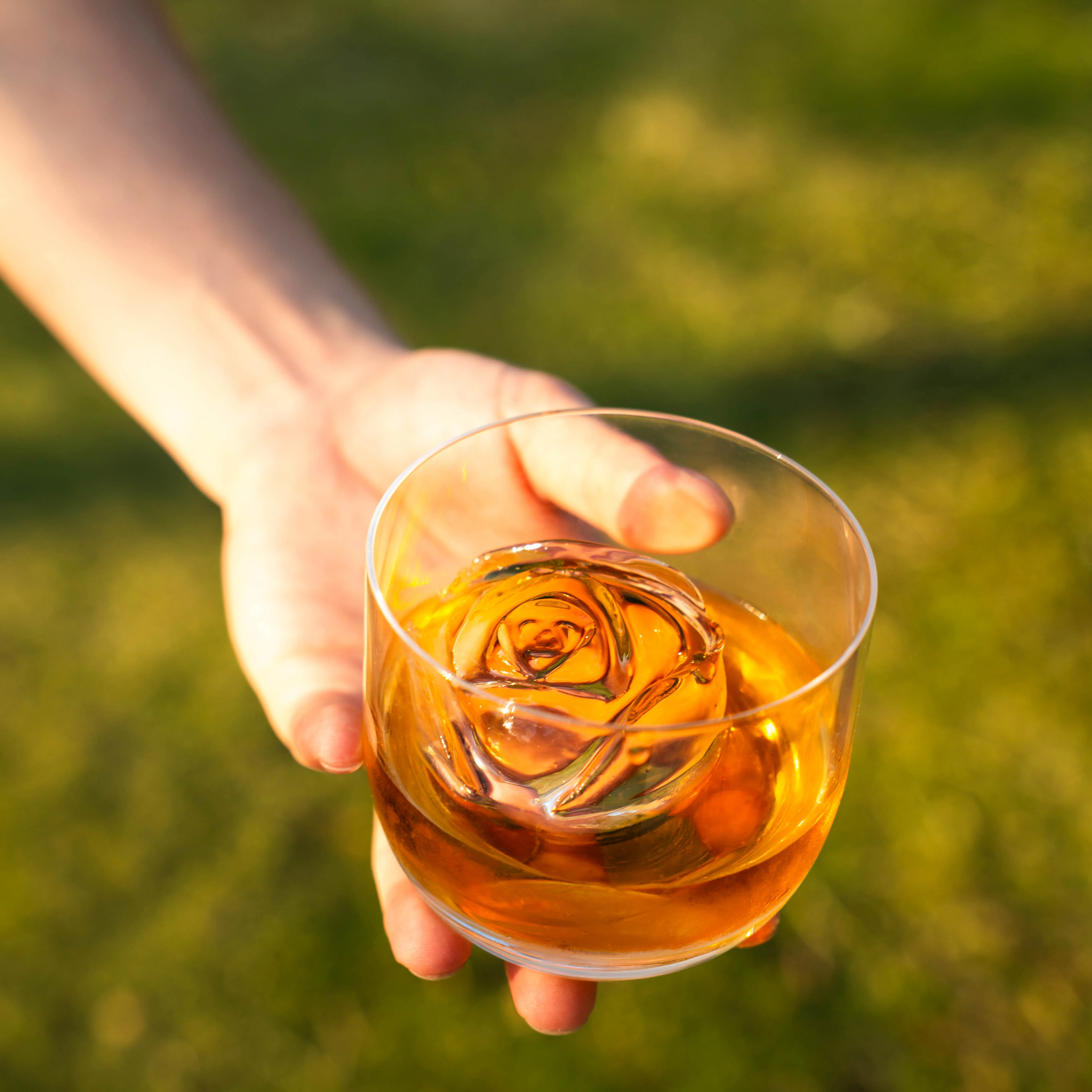 GLAZER mini - Rose Series - Image 3